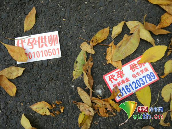 ���� ����  ��ҽ��Ժ  ���� ��ֵ