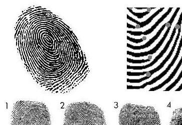 <a href='http://search.xinmin.cn/?q=�ﷸ' target='_blank' class='keywordsSearch'>�ﷸ</a>��ج�Σ�ָ��<a href='http://search.xinmin.cn/?q=��������' target='_blank' class='keywordsSearch'>��������</a>���ش�ͻ��