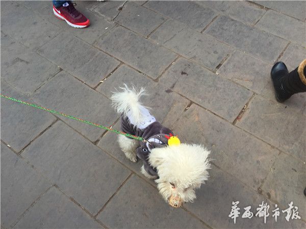 ��������ͷ�ϴ�&ldquo;С��&rdquo; �����ϰ壺һ����������ǧԪ