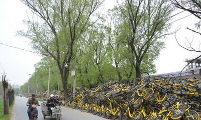 �𻵹��������ѻ���ɽ20λʦ���޲�����