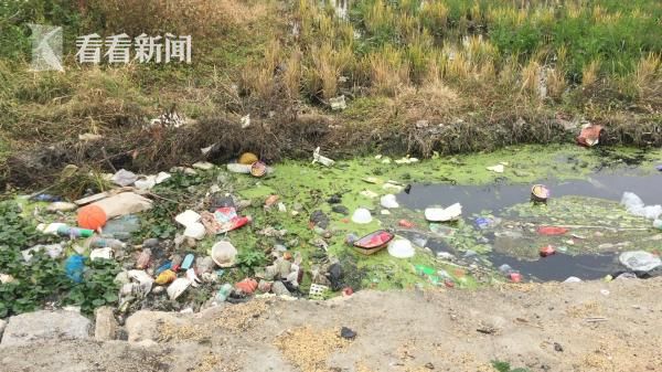 �㶫С����񱩸�:�Ӿ��ֻ��������ƽ� ÿ������